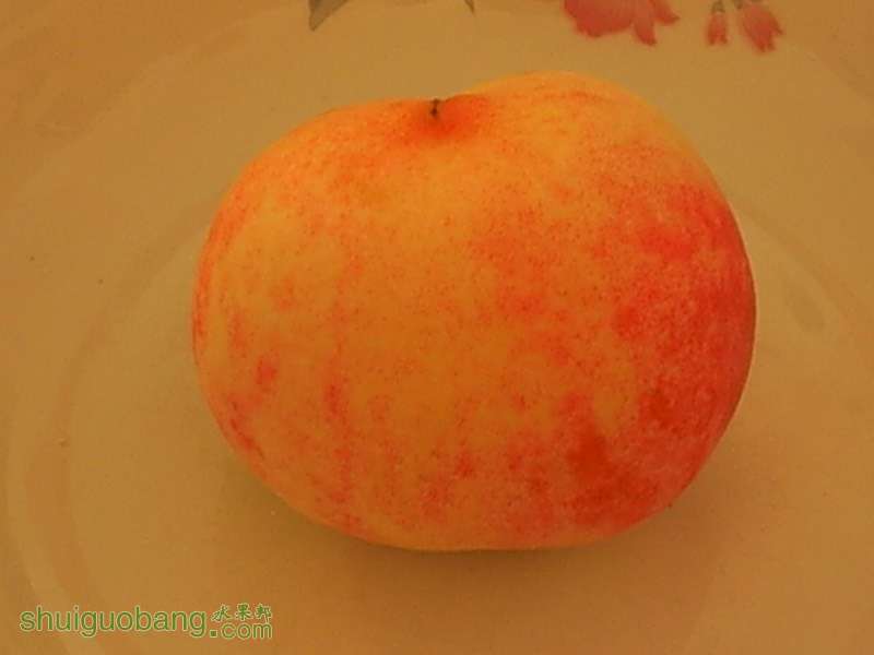 070205gk1rkcohzrc3m9wg.jpg
