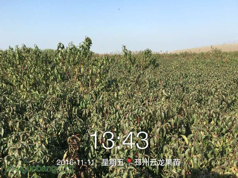 125658y9ibegj2qgji91e9.jpg
