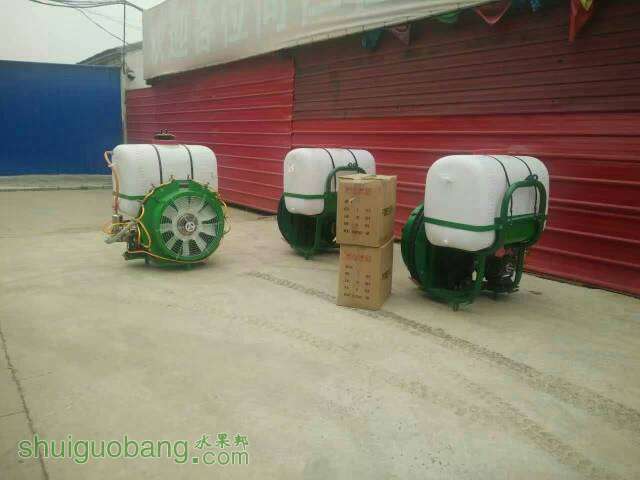 164015cjq282hqqhj7tq7s.jpg