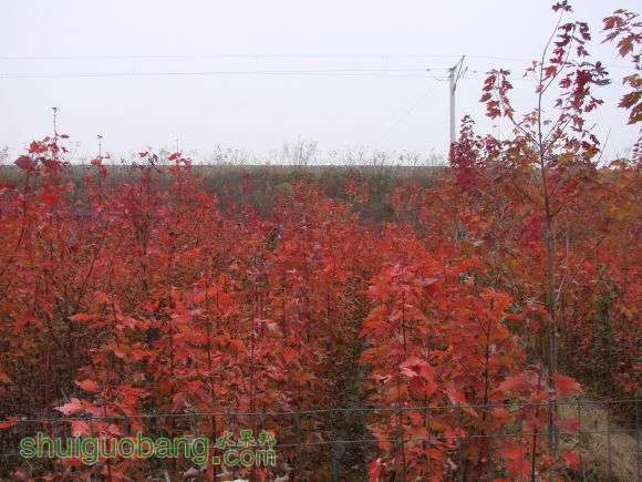DSC02574.JPG
