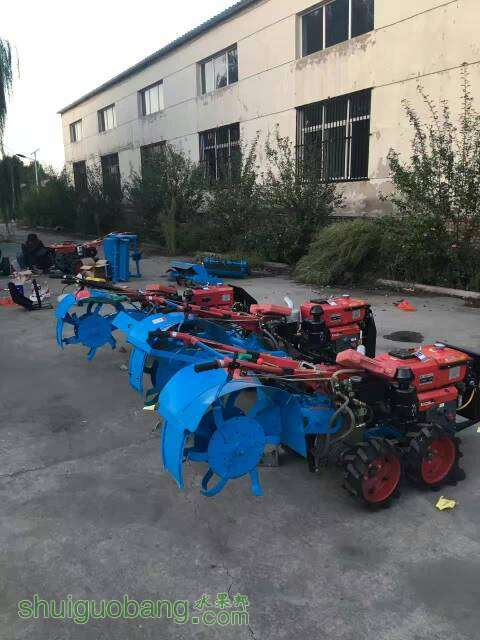 085830pdzgd2gt97890tr8.jpg