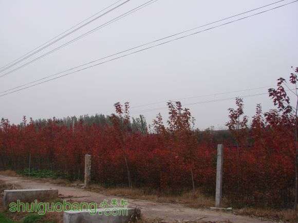 DSC02579.JPG