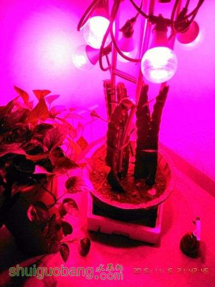 IMG_20161116_214246.jpg