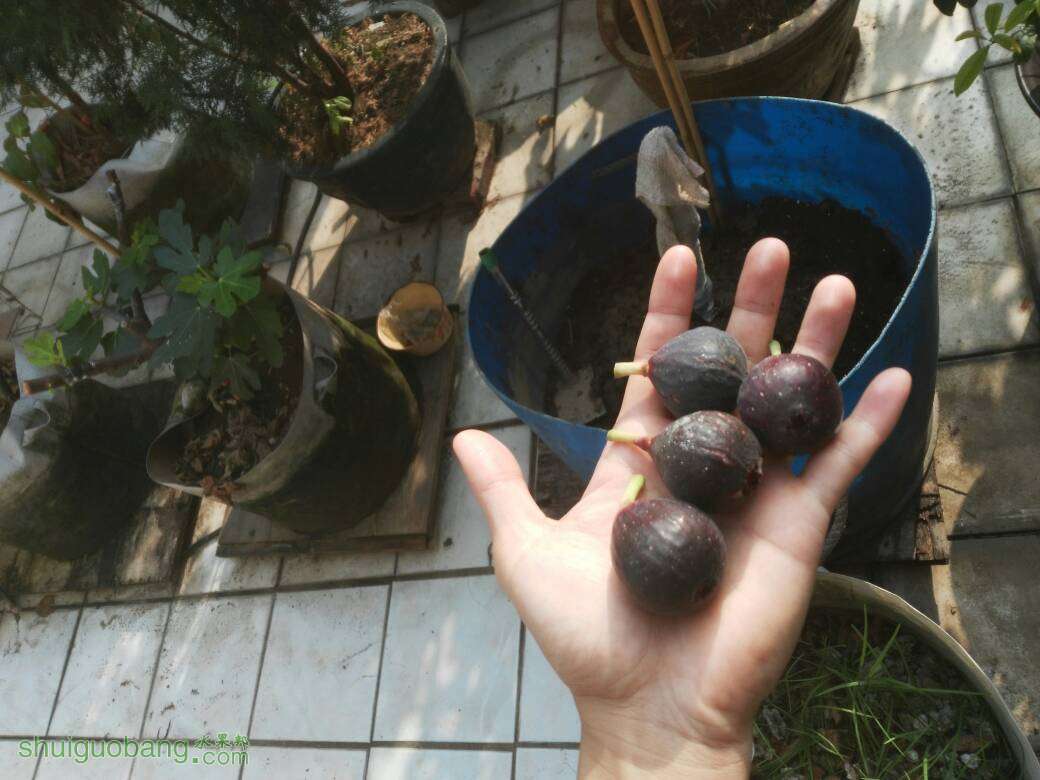 094113yo7oebu017ueo5uj.jpg