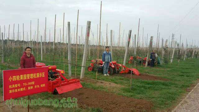 143609ztk5v7rcgmf34gff.jpg