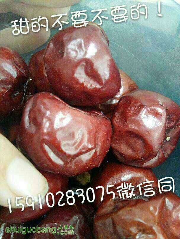 164603uxl85taxw8amwzzl.jpg