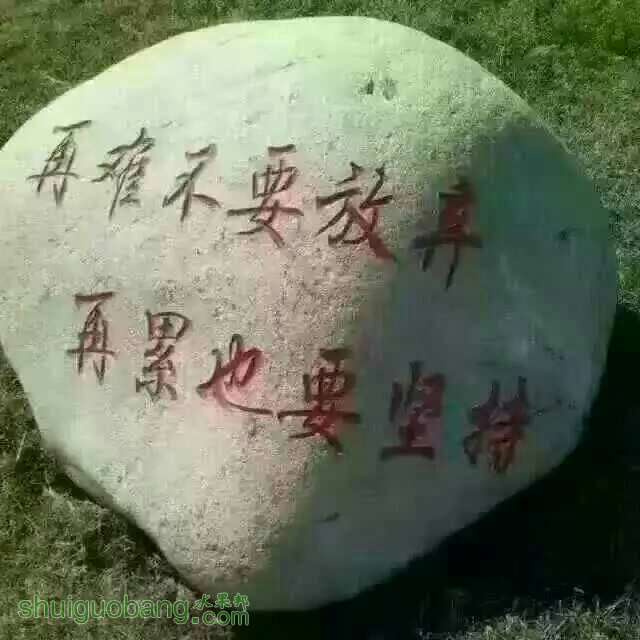 230755f8l6ll0f88kokup6.jpg