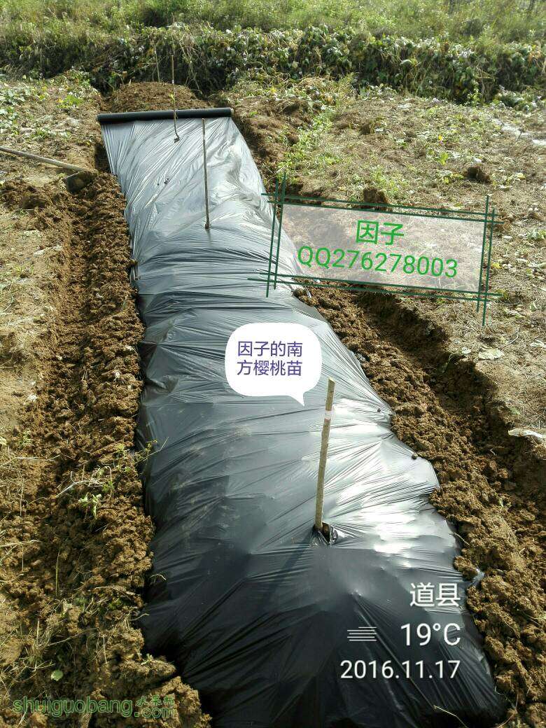 091443q9boi75rug3g19gu.jpg