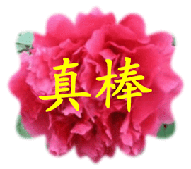 .gif