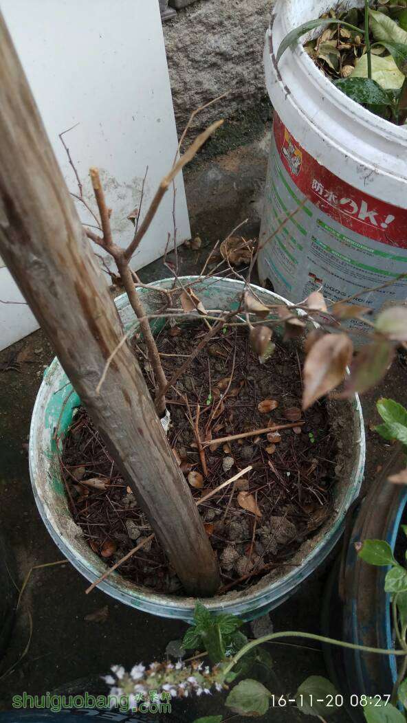 082830nxsroahuo0s4suax.jpg