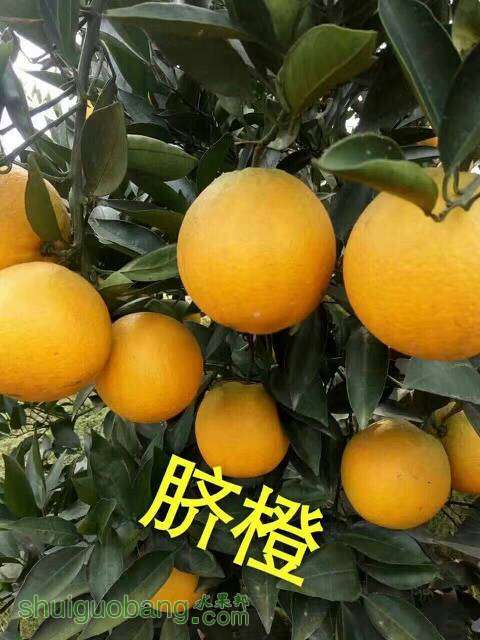 155551h6avazctq3eootne.jpg