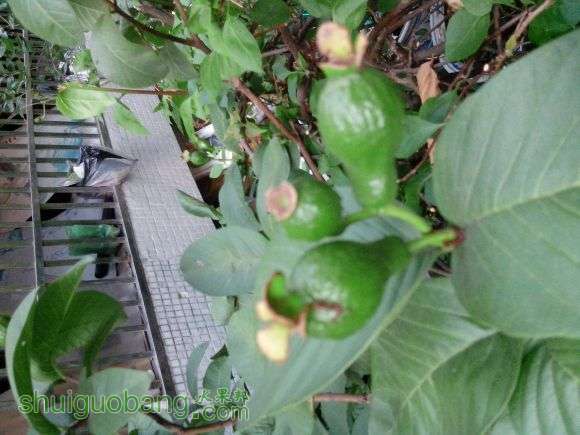 IMG_20150615_170705.jpg