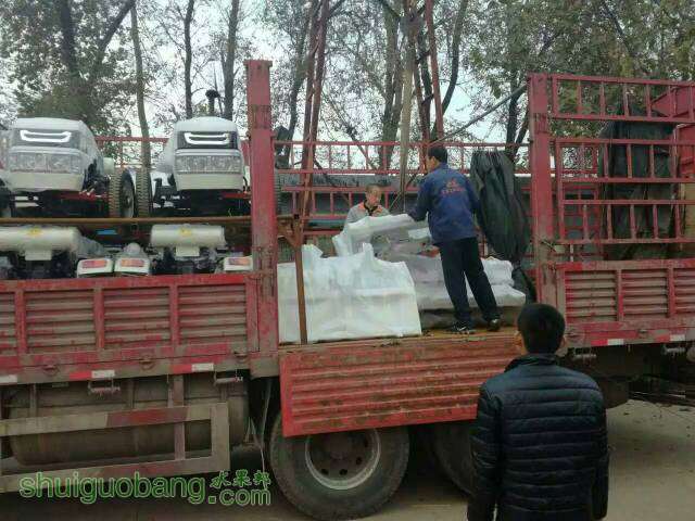 075756xc0jduyuuqh2pecq.jpg