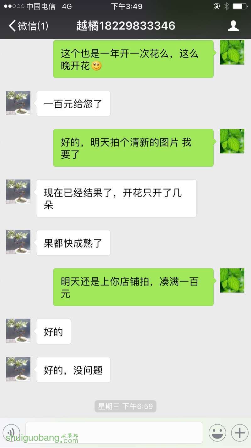 160143pfwofhwfhosfbwfo.jpg