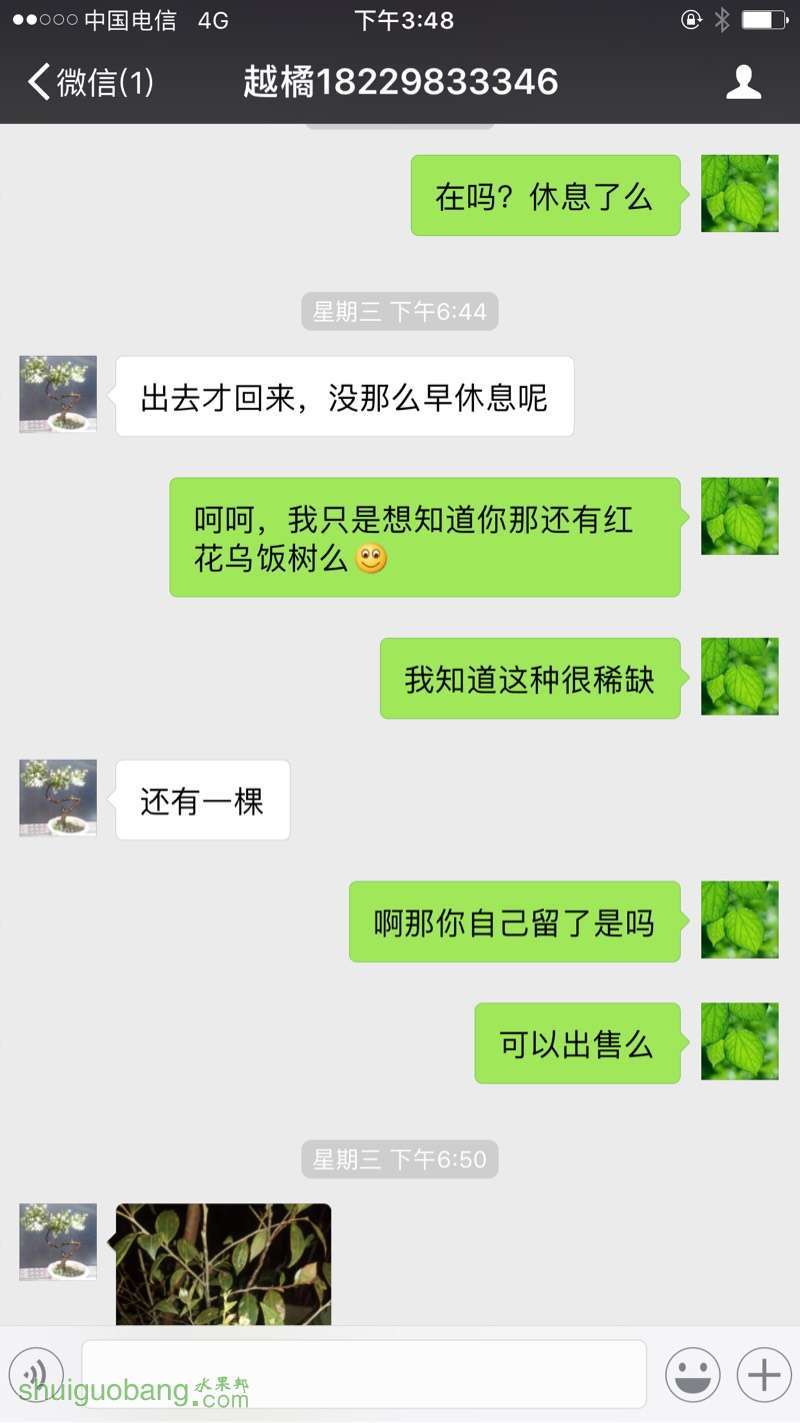 160143x3xygxd95g4tm4my.jpg