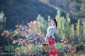 111847o5l3phen5a04sb3e.jpg
