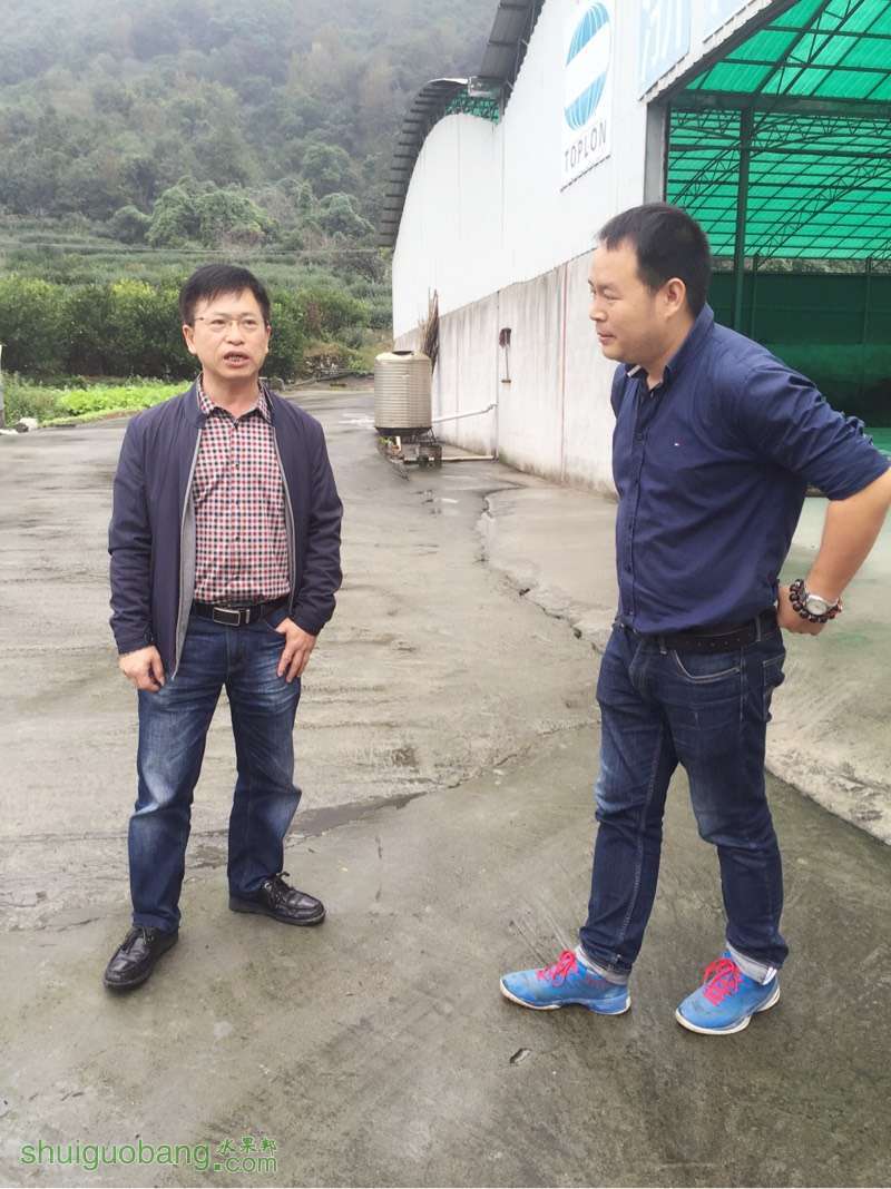 141202huy8p17espyrp222.jpg