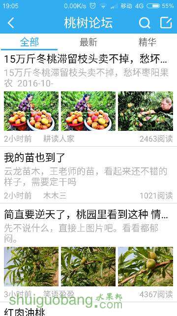 190644bbtgh88138bc4h1e.png