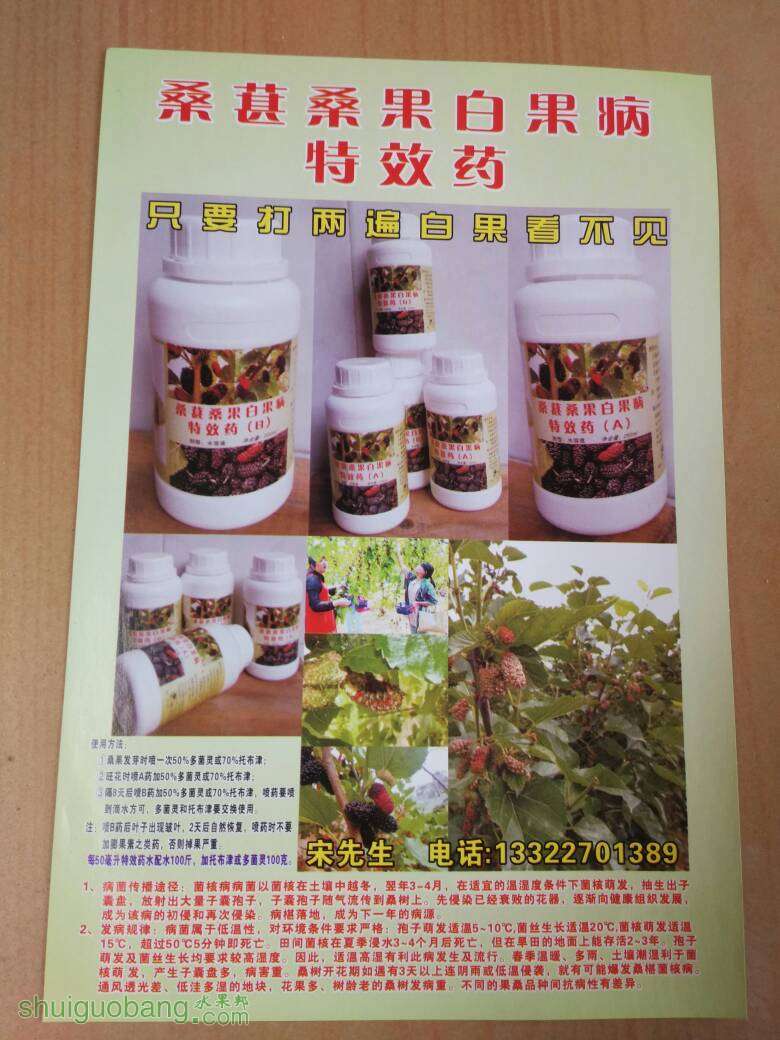 011811akmqsl6z22kmgizq.jpg