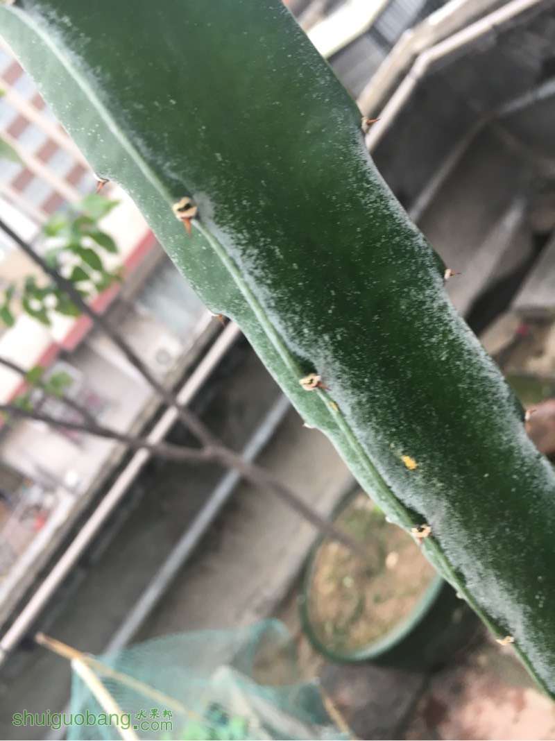 190216yyngl6w171nl87y3.jpg