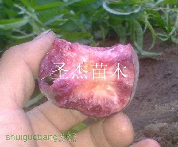 20120627515.jpg