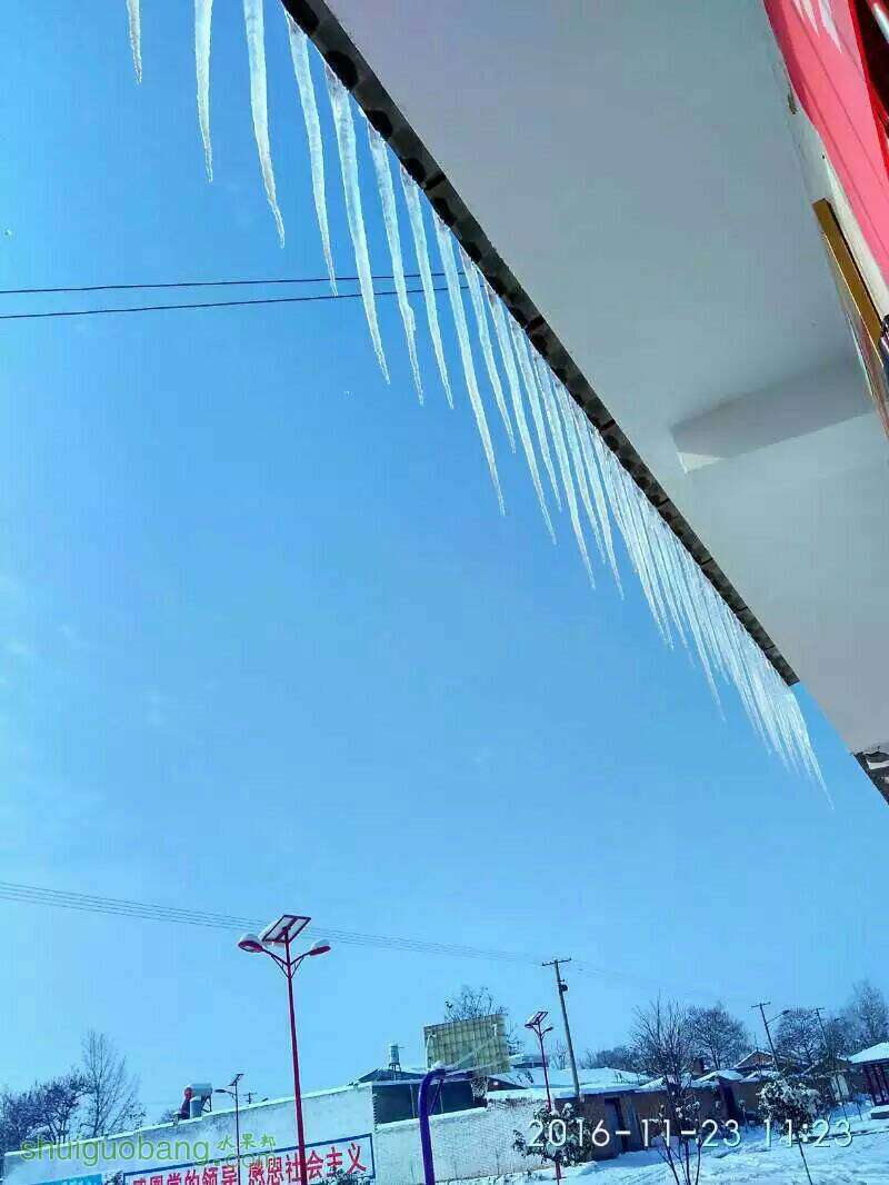 085530t8jxy2jqjkauks8x.jpeg