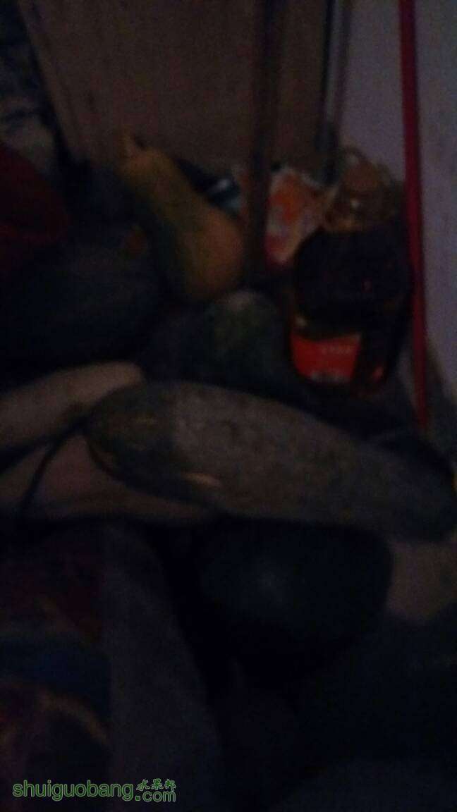 185558ko8kwyp2wkkoeihl.jpg