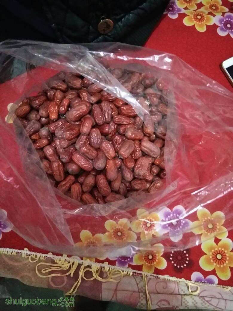 082950g59ajadxzlm0mz75.jpg