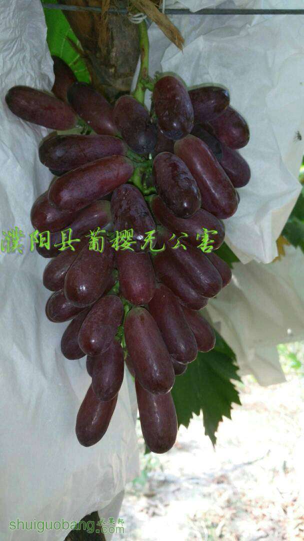 174116tu8r87u88up8r18m.jpg