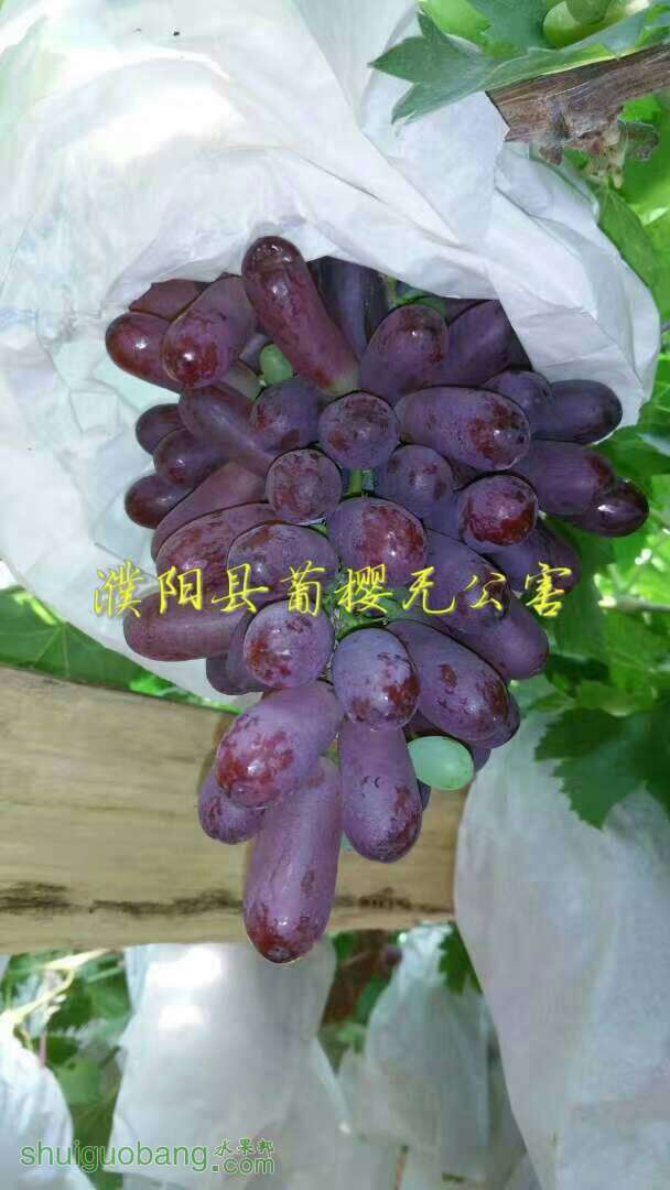 175232lainou70u7aa4ioz.jpg