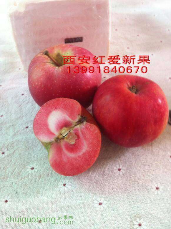 184143o7e5183jhjdh58yn.jpg