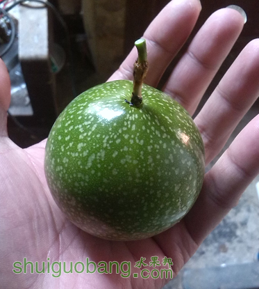 QQͼƬ20161129222000.png