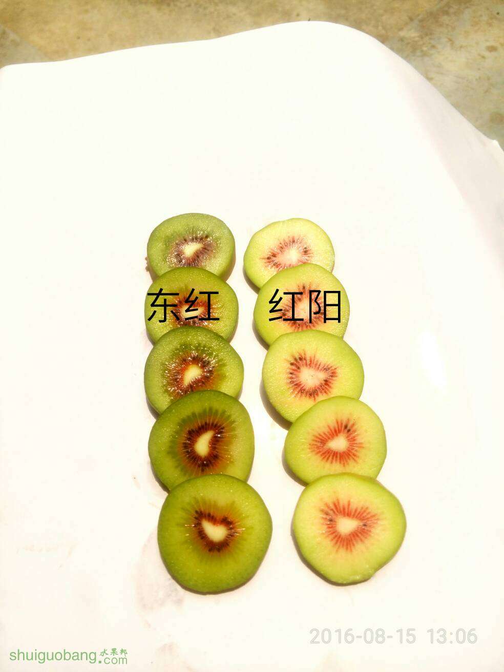 231559sxlalwdrn7xuaw00.jpg