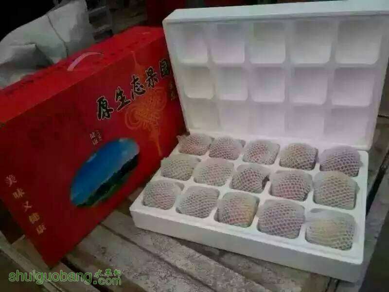 003410b8ajj6m8r7g0igr1.jpg