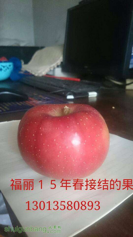 053729y4ztty1olqv2lqom.jpg