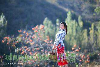 072354idw4x4x40hcex4wh.jpg
