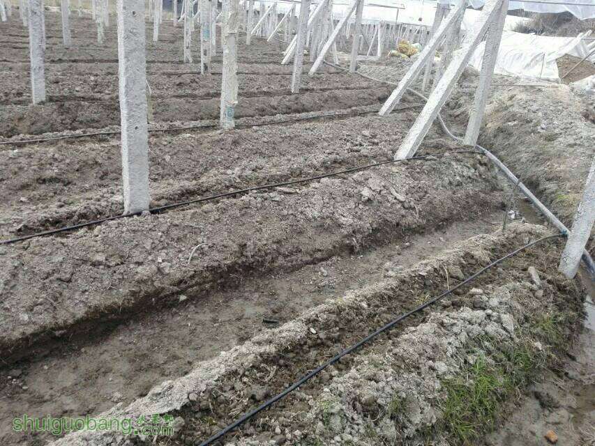 082558xtsizni76101xxtj.jpeg