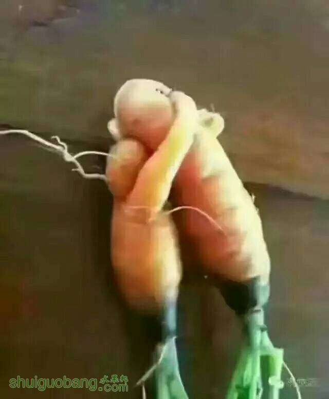 124259thfxjxhzxoxx0gxz.jpeg