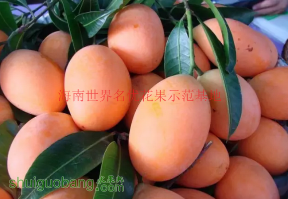 QQͼƬ20161021163047.png