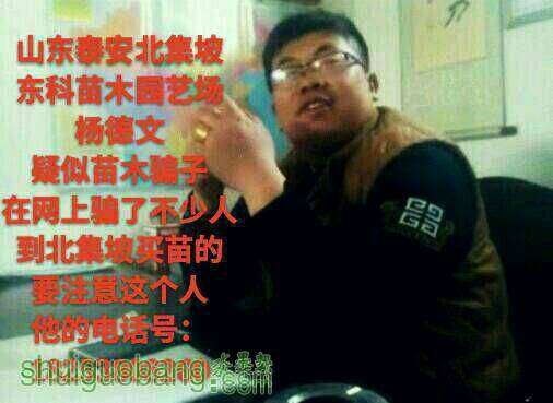 071346jhp77uw70e6ppq9u.jpg