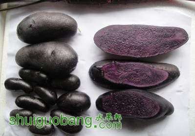 093533kxihhkmn26xygmxm.jpg