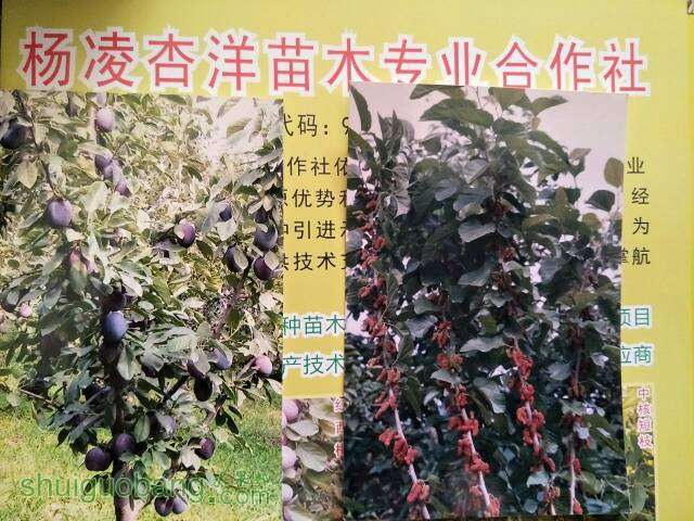 141142pdqe32amm8s84amv.jpg