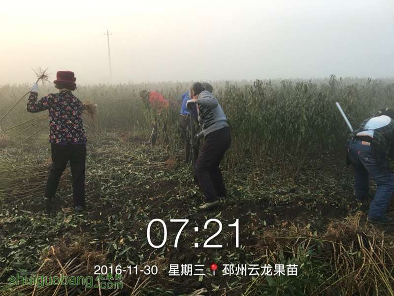 141451a6nhsuy5xsmx55xc.jpg