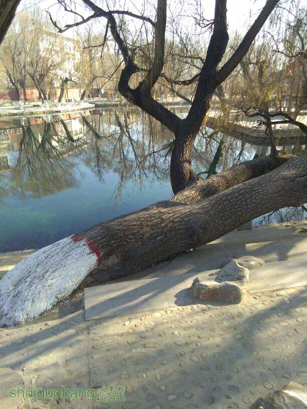 082503lg5rppe5vgpwgrig.jpg