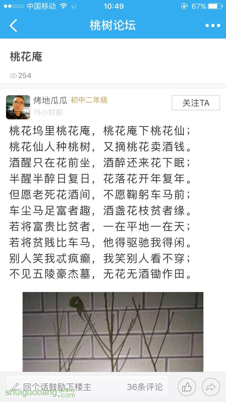 105157vcd72xya20yu72md.jpg