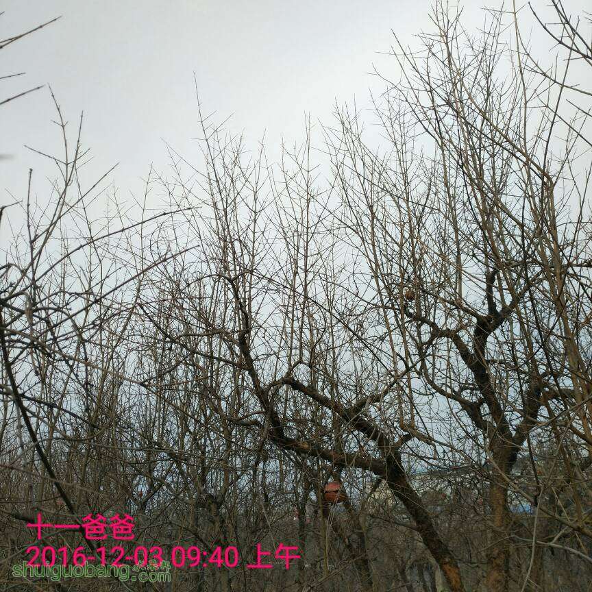 112523mxffzbybyxhr5x4h.jpg