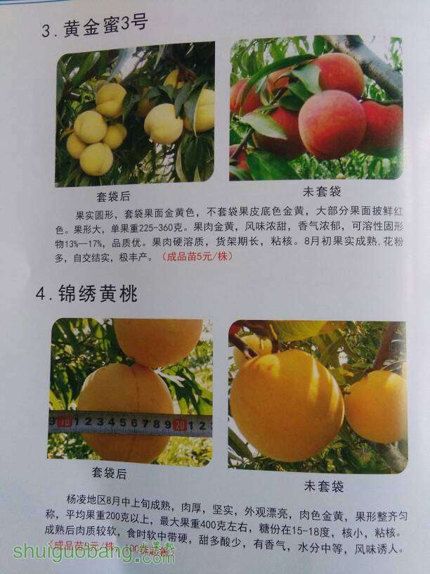 213949yvnypy351xoqyxvz.jpg