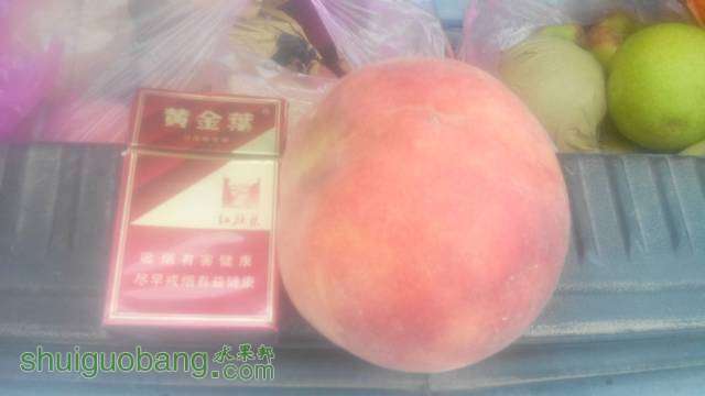031533vshtkoamm4h48otd.jpg