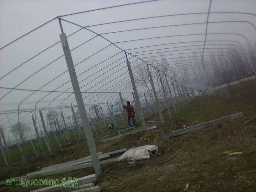 072208ntoxh07uuzpzuxjt.jpg