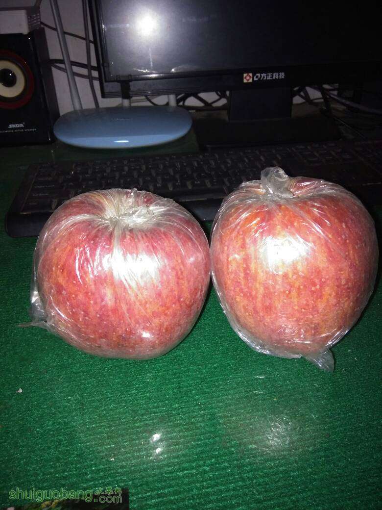 123445qje6rnt9gwnykju1.jpg